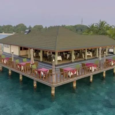 image-https://maldivus.ru/media/restaurants/351/image/400x400/-restaurant-24545.webp
