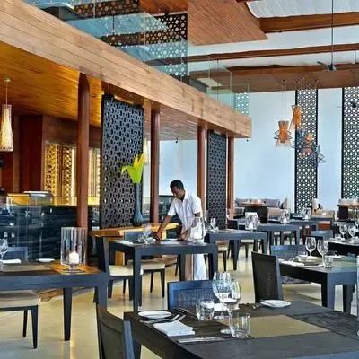 image-https://maldivus.ru/media/restaurants/354/image/400x400/-restaurant-55598.webp