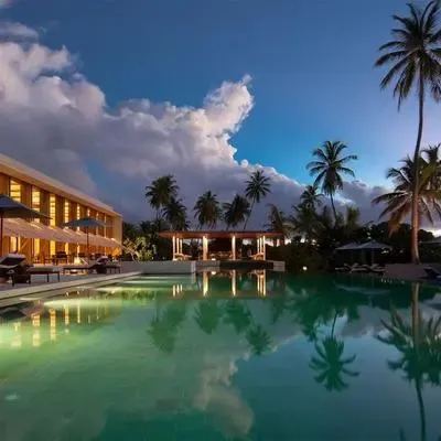 image-https://maldivus.ru/media/restaurants/355/image/400x400/-restaurant-85696.webp