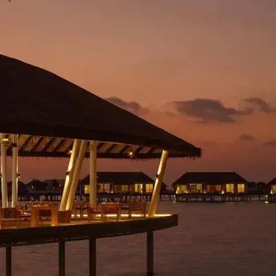 image-https://maldivus.ru/media/restaurants/375/image/400x400/-restaurant-5054.webp