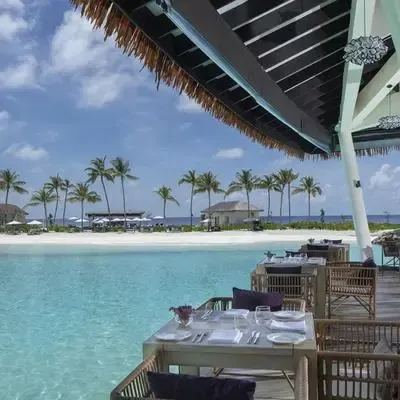 image-https://maldivus.ru/media/restaurants/377/image/400x400/-restaurant-51597.webp
