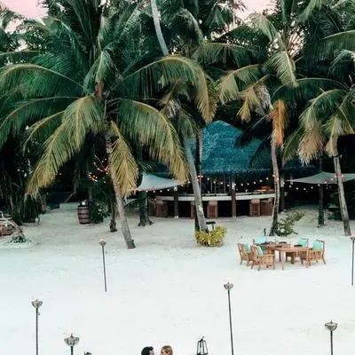 image-https://maldivus.ru/media/restaurants/378/image/400x400/-restaurant-77689.webp