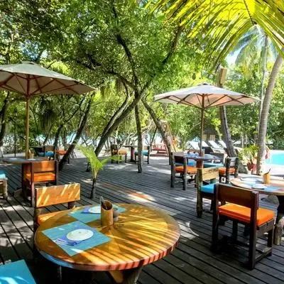image-https://maldivus.ru/media/restaurants/381/image/400x400/-restaurant-4166.webp