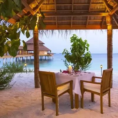 image-https://maldivus.ru/media/restaurants/386/image/400x400/-restaurant-3321.webp