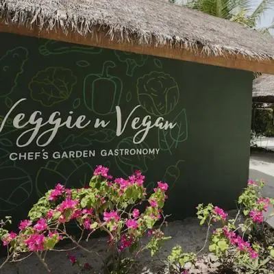 image-https://maldivus.ru/media/restaurants/389/image/400x400/-restaurant-67332.webp