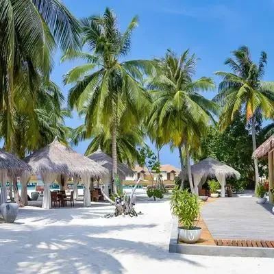 image-https://maldivus.ru/media/restaurants/391/image/400x400/-restaurant-61426.webp