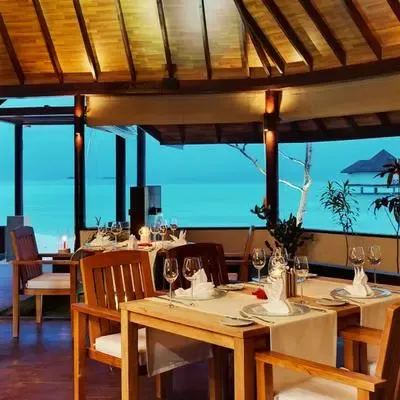 image-https://maldivus.ru/media/restaurants/398/image/400x400/-restaurant-53794.webp
