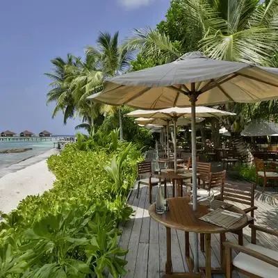 image-https://maldivus.ru/media/restaurants/403/image/400x400/-restaurant-37099.webp