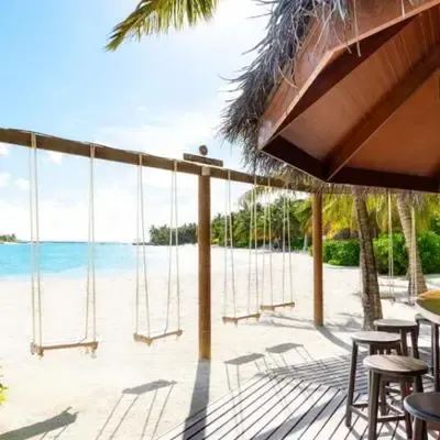 image-https://maldivus.ru/media/restaurants/411/image/400x400/-restaurant-96697.webp