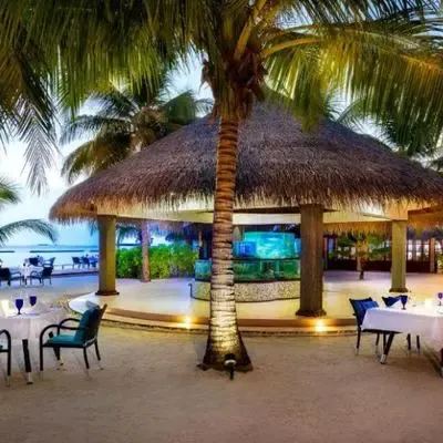 image-https://maldivus.ru/media/restaurants/415/image/400x400/-restaurant-1992.webp