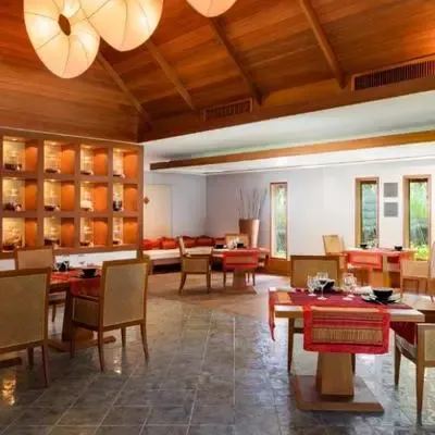 image-https://maldivus.ru/media/restaurants/416/image/400x400/-restaurant-87056.webp