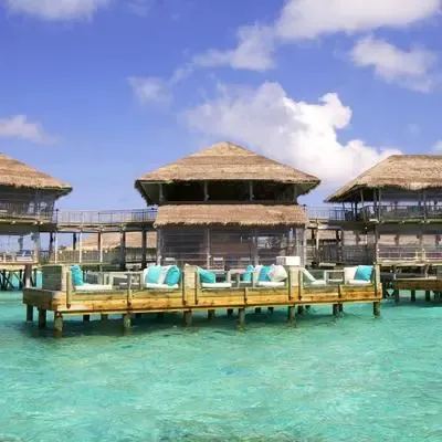 image-https://maldivus.ru/media/restaurants/422/image/400x400/-restaurant-6045.webp