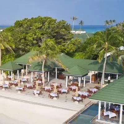 image-https://maldivus.ru/media/restaurants/425/image/400x400/-restaurant-76427.webp
