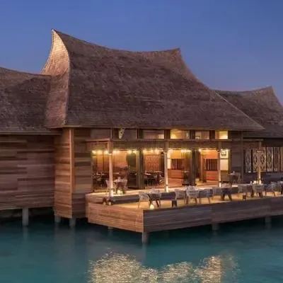 image-https://maldivus.ru/media/restaurants/43/image/400x400/-restaurant-38834.webp
