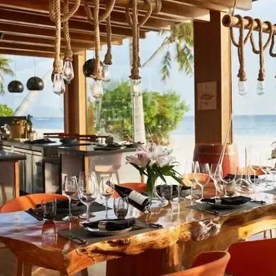 image-https://maldivus.ru/media/restaurants/432/image/400x400/-restaurant-3921.webp