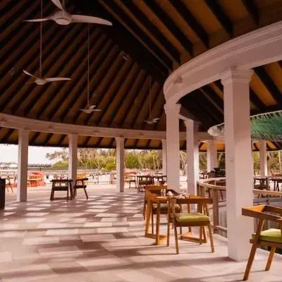 image-https://maldivus.ru/media/restaurants/433/image/400x400/-restaurant-1261.webp