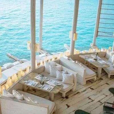 image-https://maldivus.ru/media/restaurants/446/image/400x400/-restaurant-26210.webp