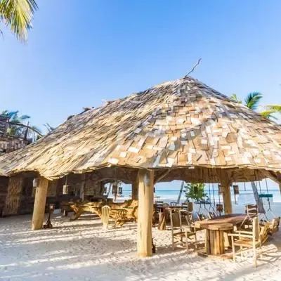 image-https://maldivus.ru/media/restaurants/448/image/400x400/-restaurant-19641.webp