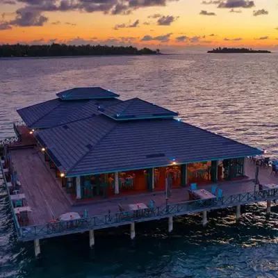 image-https://maldivus.ru/media/restaurants/456/image/400x400/-restaurant-42372.webp