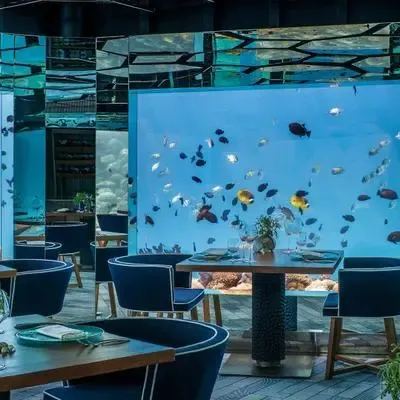 image-https://maldivus.ru/media/restaurants/46/image/400x400/-restaurant-52064.webp