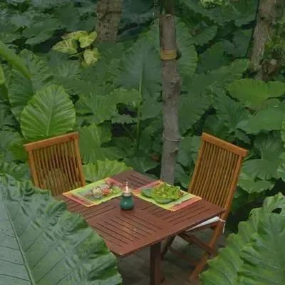 image-https://maldivus.ru/media/restaurants/460/image/400x400/-restaurant-75516.webp