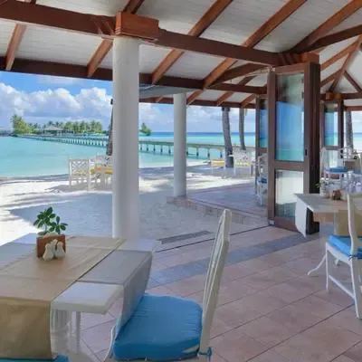 image-https://maldivus.ru/media/restaurants/461/image/400x400/-restaurant-28717.webp