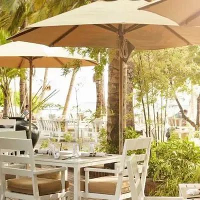 image-https://maldivus.ru/media/restaurants/462/image/400x400/-restaurant-64155.webp