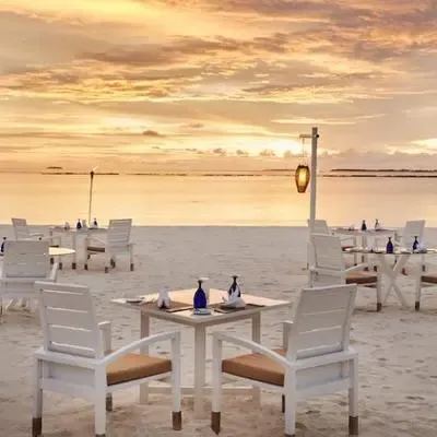 image-https://maldivus.ru/media/restaurants/466/image/400x400/-restaurant-75492.webp
