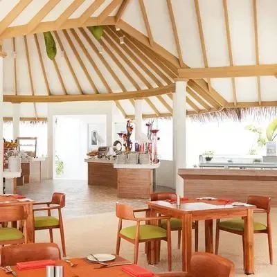 image-https://maldivus.ru/media/restaurants/474/image/400x400/-restaurant-42876.webp