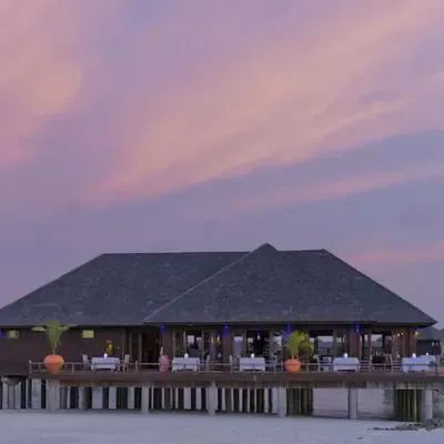 image-https://maldivus.ru/media/restaurants/475/image/400x400/-restaurant-68038.webp