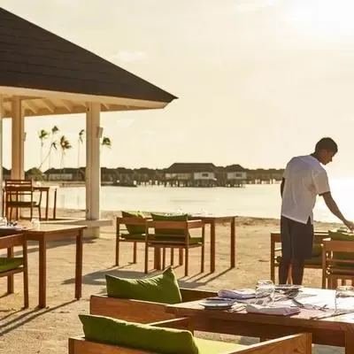 image-https://maldivus.ru/media/restaurants/476/image/400x400/-restaurant-13231.webp