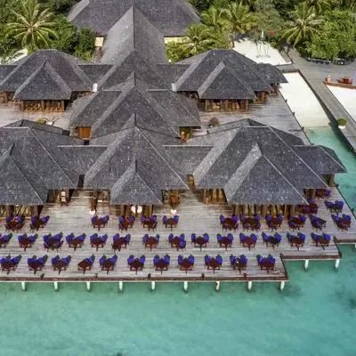 image-https://maldivus.ru/media/restaurants/481/image/400x400/-restaurant-88921.webp