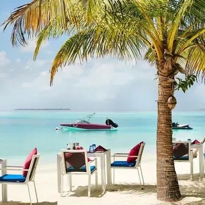 image-https://maldivus.ru/media/restaurants/483/image/400x400/-restaurant-58166.webp