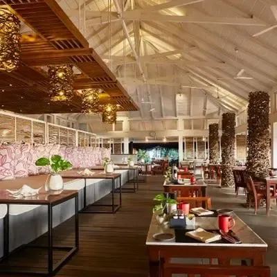 image-https://maldivus.ru/media/restaurants/487/image/400x400/-restaurant-90063.webp