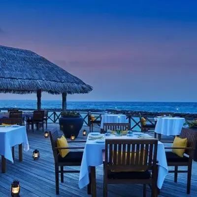 image-https://maldivus.ru/media/restaurants/488/image/400x400/-restaurant-75467.webp