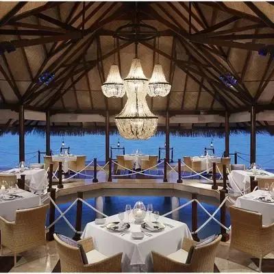 image-https://maldivus.ru/media/restaurants/490/image/400x400/-restaurant-95426.webp