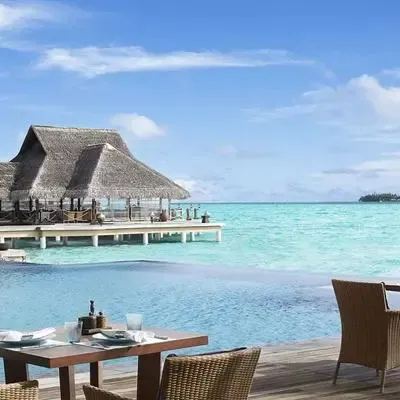 image-https://maldivus.ru/media/restaurants/492/image/400x400/-restaurant-83641.webp