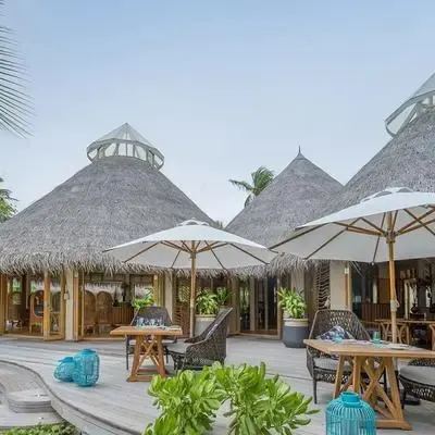 image-https://maldivus.ru/media/restaurants/496/image/400x400/-restaurant-97584.webp
