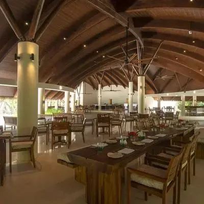 image-https://maldivus.ru/media/restaurants/497/image/400x400/-restaurant-76517.webp