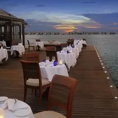 image-https://maldivus.ru/media/restaurants/500/image/400x400/-restaurant-9048.webp
