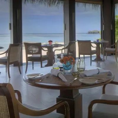 image-https://maldivus.ru/media/restaurants/501/image/400x400/-restaurant-22019.webp