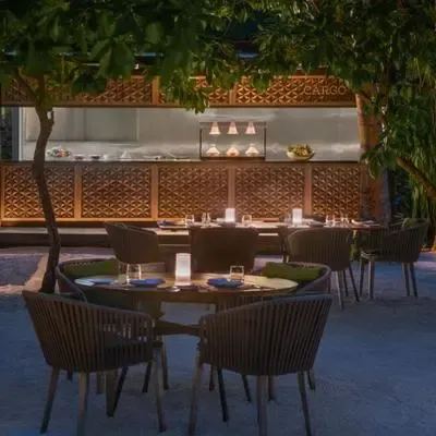 image-https://maldivus.ru/media/restaurants/513/image/400x400/-restaurant-91184.webp