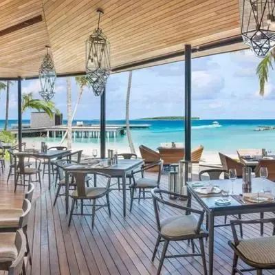 image-https://maldivus.ru/media/restaurants/515/image/400x400/-restaurant-80275.webp