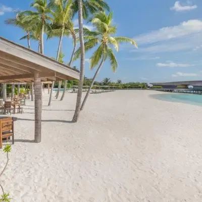 image-https://maldivus.ru/media/restaurants/516/image/400x400/-restaurant-98720.webp