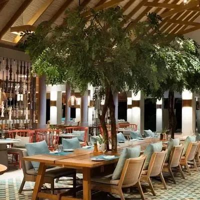 image-https://maldivus.ru/media/restaurants/529/image/400x400/-restaurant-29917.webp