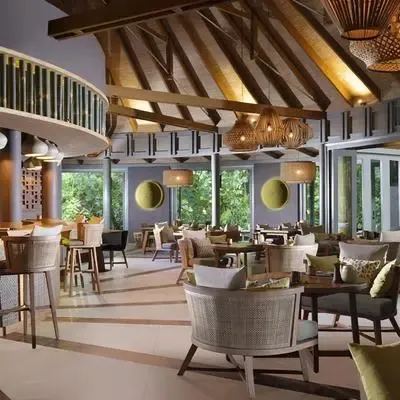 image-https://maldivus.ru/media/restaurants/530/image/400x400/-restaurant-36873.webp