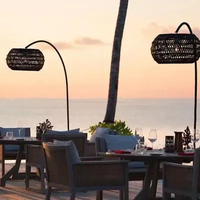 image-https://maldivus.ru/media/restaurants/531/image/400x400/-restaurant-41309.webp