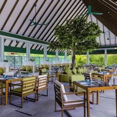 image-https://maldivus.ru/media/restaurants/535/image/400x400/-restaurant-19515.webp