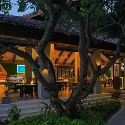 image-https://maldivus.ru/media/restaurants/543/image/400x400/-restaurant-89530.webp