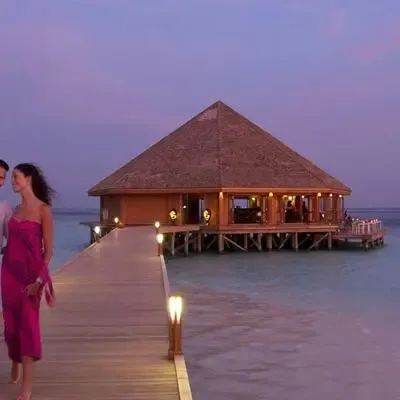 image-https://maldivus.ru/media/restaurants/546/image/400x400/-restaurant-55908.webp